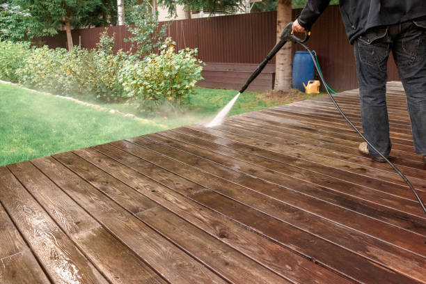 Animal Enclosure Cleaning in De Witt, NY